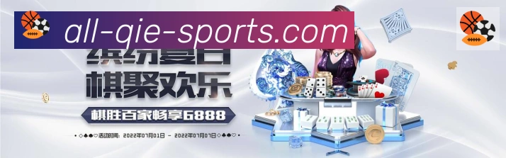 未来规划